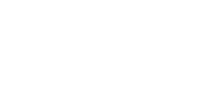 Velocity Vehicle Group